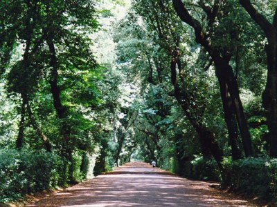 vialone di mezzo palazzo reale di capodimonte